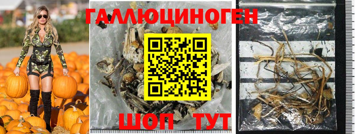 Галлюциногенные грибы Magic Shrooms Славгород