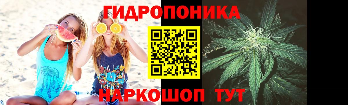 Славгород  Конопля MAZAR  Бошки Шишки SATIVA & INDICA  Шишки марихуана гибрид  Вход с VPN 
